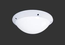 Product image 1: Arcadian LED - 21W - 4000K