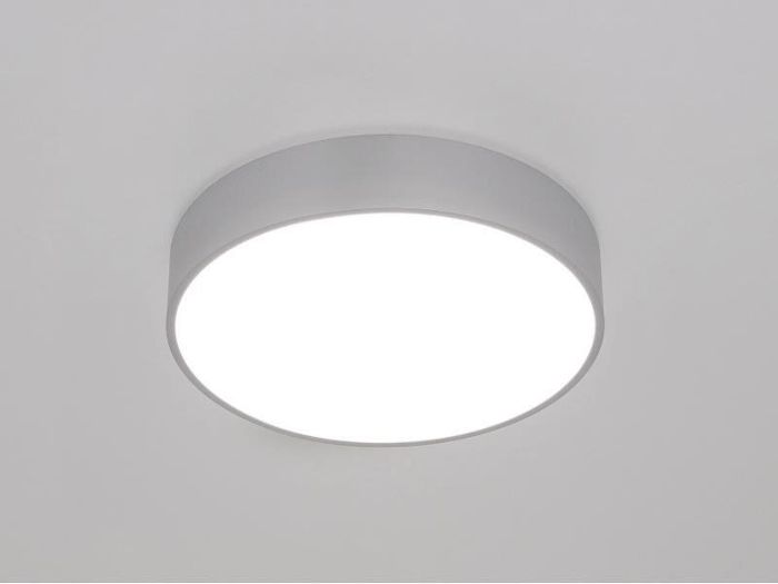 Produktbild 1: BADO IP54 SD 400 W/DL 29W 4000K Opal silber matt