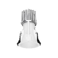 Product image 1: Warp | LLG