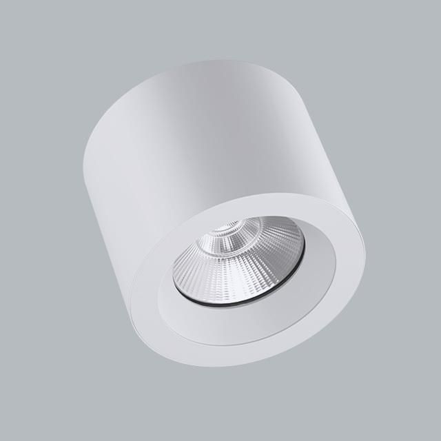 Image du produit 1: BERYL SURFACE NEW LED O-3 3600 PLX EDD IP44 34 840