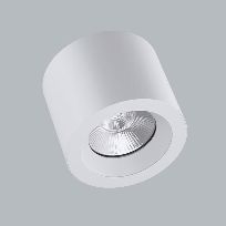 Image du produit 1: BERYL SURFACE NEW LED O-3 3600 PLX EDD IP44 34 840