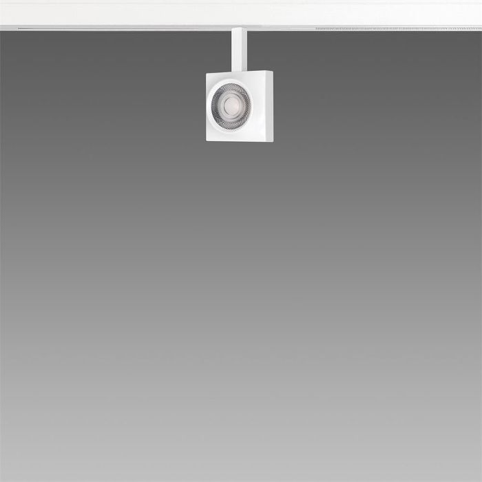 Image du produit 1: Focus SLIM Q 5.0 - DIP SWITCH - adaptateur universel escamotable 3000K CRI 92 14W CLD Blanc