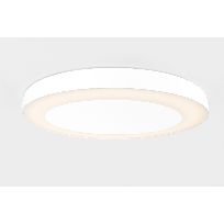 Imagen de productos 1: Flat moon eclips 650 ceiling down LED 3000K GI white struc