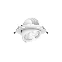 Imagen de productos 1: LEDSpotRS-P 20W-3000-60D-WH