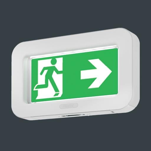 Product image 1: Lexi LED - 1W - 4000K - Standard Emergency - ISO 7010 Double Sided Arrow