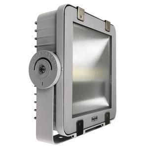 Imagen de productos 1: PRO/RIF 100W REGOLABILE 3K