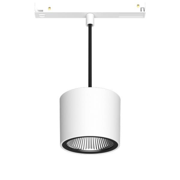 Imagen de productos 1: NEO-ORYO-P 202.930.15/DALI WH - 658414 18°