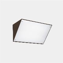 Imagen de productos 1: Curie Glass 260mm