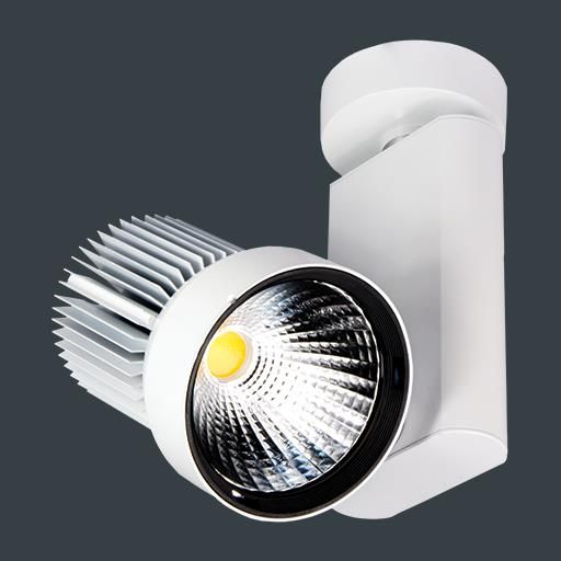 Product image 1: Zenith-L 41° Beam LED - 28W - 4000K