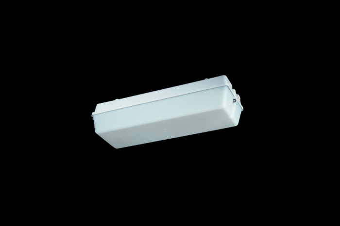 Product image 1: 131 LED emergency light fitting