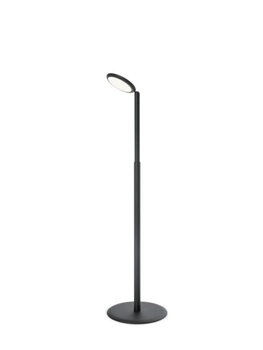Product image 1: Parrot Black