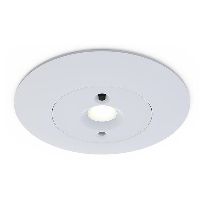 Imagen de productos 1: EMERGENCY - Merlin Emergency Downlight - White