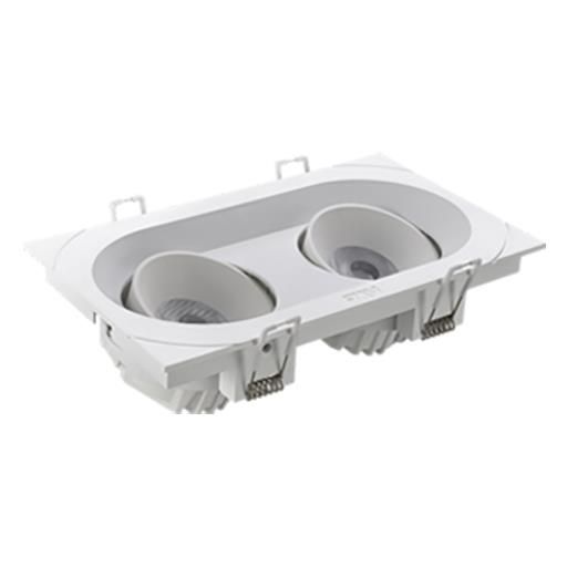 Imagen de productos 1: NLED5602AE3 2×15W 3000K 24°双头格栅射灯(椭圆)