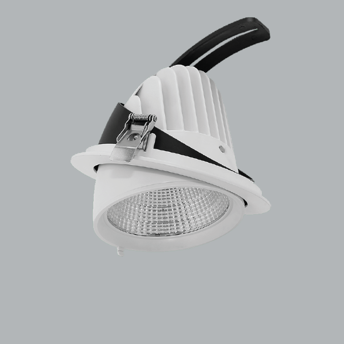 Product image 1: LED Downlight Adjustabe 20W 4000K