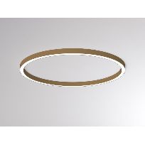 Produktbild 1: LOG 50 RING SD WALL / CEILING LUMINAIRE