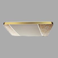 Product image 1: 星菱系列LED客厅吸顶灯