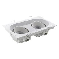 Imagen de productos 1: NLED5602AE3 2×15W 3000K 24°双头格栅射灯(椭圆)
