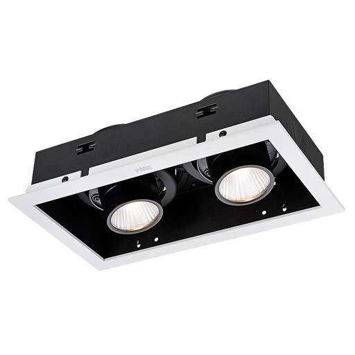 Product image 1: NLED5822C 2×12W 24°3500K 双头通用型格栅射灯