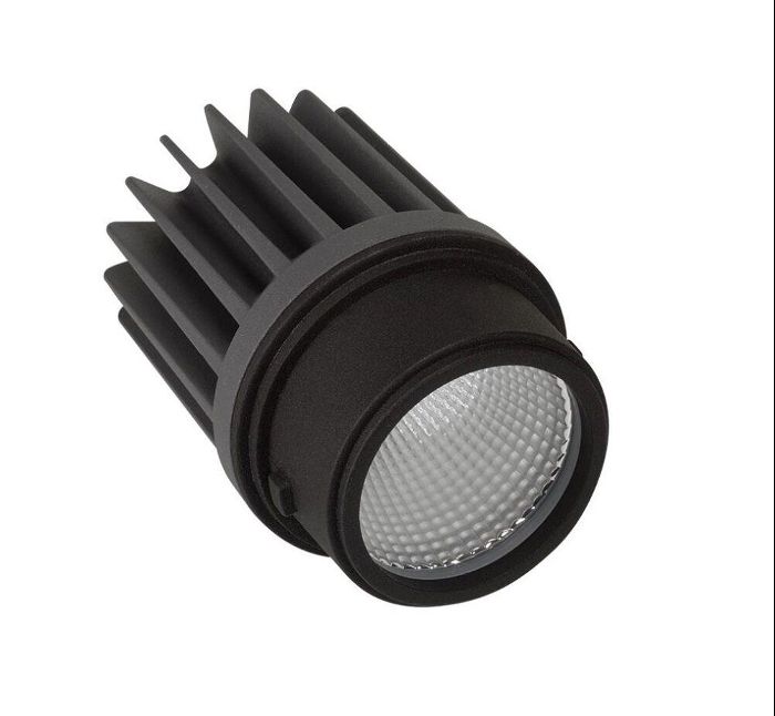 Image du produit 1: 704 Downlight Spot 20º 2700K DALI PUSH Negro