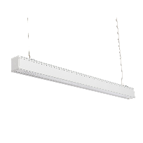 Imagen de productos 1: Exzite G2 PE DPAR 40/60 31W 3700 DALI SPLIT 840